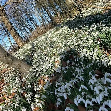 Fredensgaard Naer Billund