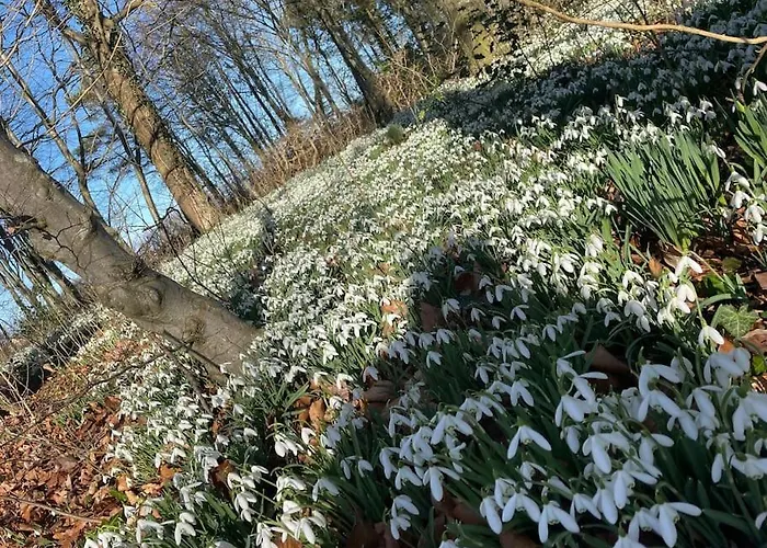 Fredensgaard Naer Billund