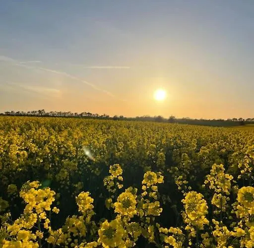 Fredensgaard Naer Billund *